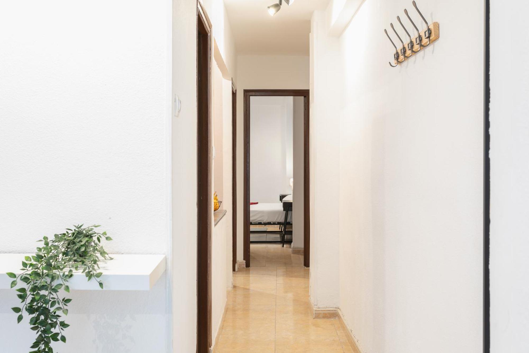 Santos Medicos, Centrico Apartamento Casco Antiguo 알리칸테 외부 사진